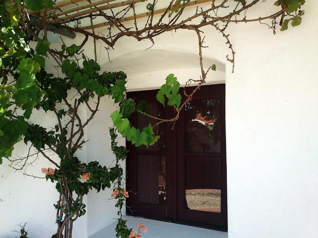 Cantar Do Grilo - Turismo Rural Serpa Exterior foto