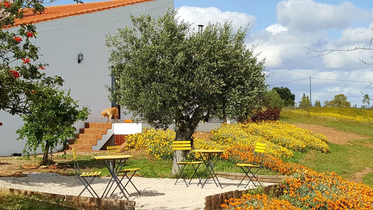 Cantar Do Grilo - Turismo Rural Serpa Exterior foto