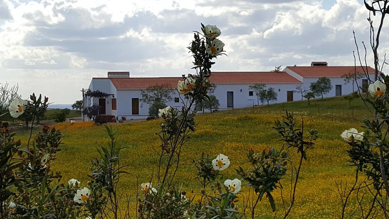 Cantar Do Grilo - Turismo Rural Serpa Exterior foto
